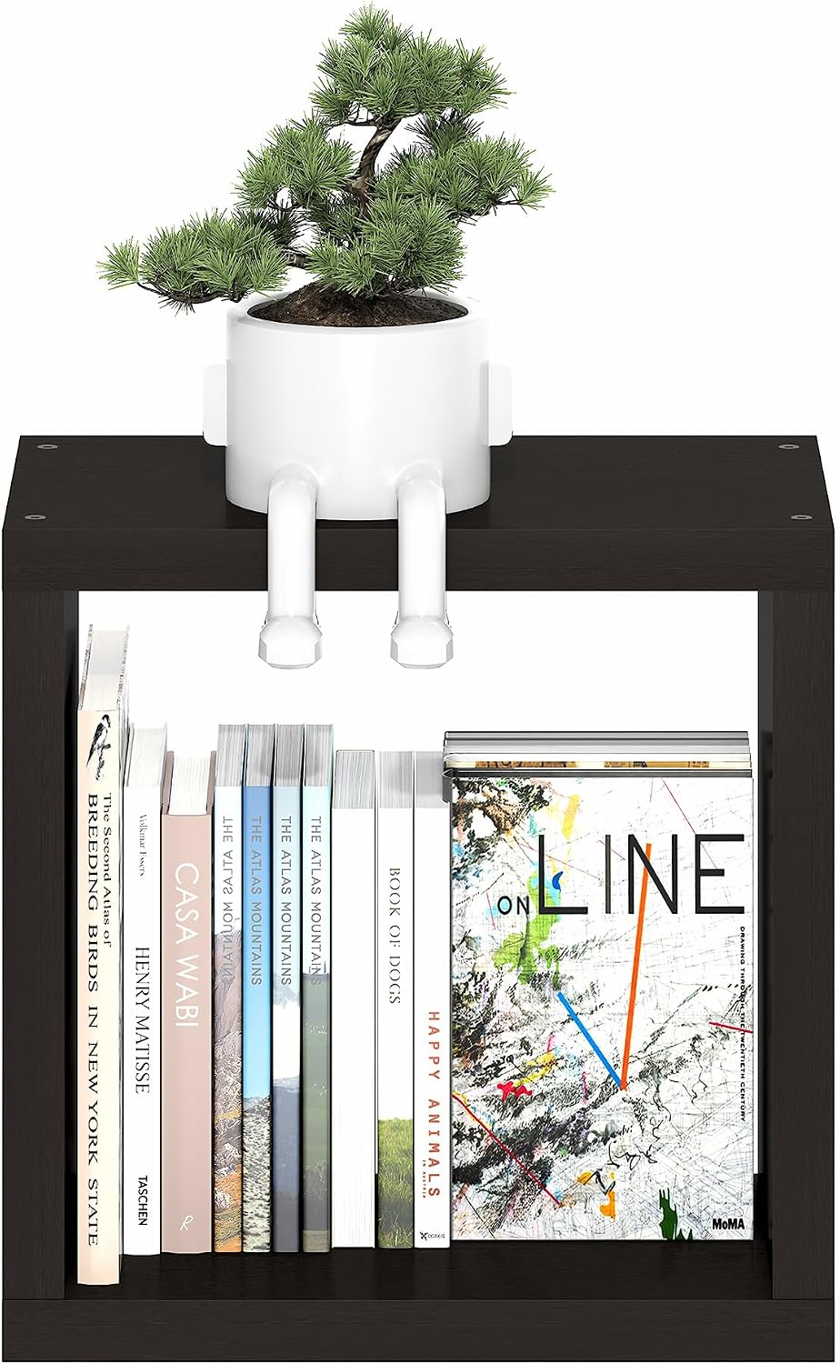 Floating Shelves for Wall, Thick Cube Wall Shelf, Dark Oak
