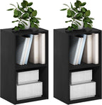 PASIR Set of 2 2-Tier Modern Book Shelf, Blackwood