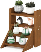 Outdoor 4-Tier Ladder Plant Stand, Meranti Wood